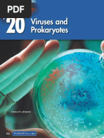 Viruses and Prokaryotes: Colonies of E. Coli Bacteria