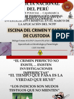 Escena Del Crimen