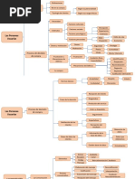 Mapas Conceptuales DVP