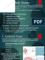 The Four Primary Tissue Types:: Epithelial (Covering) Connective Tissue (Support) Muscle (Movement) Nervous (Control)