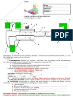 Fisa de Lucru Centrata Pe Elev