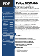 Felipe Digmann CV - English