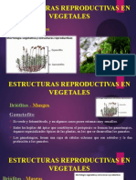 Estructuras Reproductivas en Vegetales