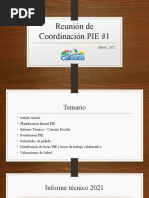 Coordinación PIE #1