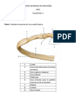 CIA2022 - TALLER NO.2 - Tórax, Pared Abdominal y Peritoneo