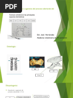 Agenesia o Hipoplasia Del Proceso Odontoide Del Axis en Caninos