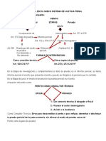 Desahogo de La Pericial Nuevo Sistema