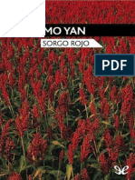 Sorgo Rojo Holaebook