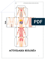 Sistema Digestivo