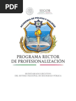 3 Tsusp Programa Rector Prof