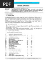 Impacto Ambiental