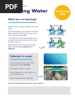 F KS3 Walking Water Worksheet