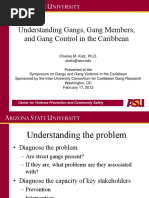 Gangs Presentation - Katz