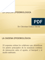 PDF Documento