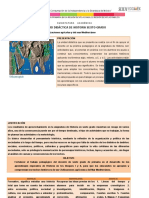 6 Gdo. UNIDAD DIDÁCTICA HISTORIA 6° GRADO