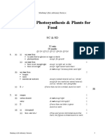 Year - 9 Photosynthesis - Mark Scheme