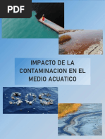 Proyecto Resolicion de Ambiente