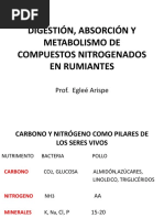 Digestión, Absorcion y Metabolismo de Compuestos Nitrogenados