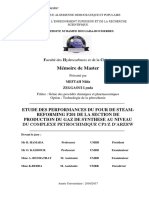 Mémoir de Master Etude Des Performances Du Four de Steam Reforming F201 de La Section de Production Du Syngaz 200 Au Nive - 1