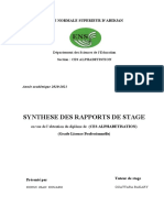 Copie de Rapport Stage Iepp