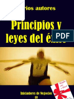 Principios y Leyes Del Exito