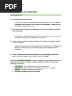 Contaminación Ambiental 2