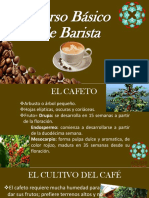 El Barista y El Café