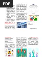 Programa de Salud Mental Encuentro 11 Triptico