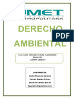 Derecho Ambiental Final