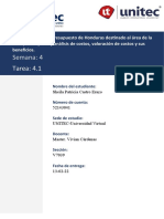 Castro - Investigacion Presupuesto - S#4.1