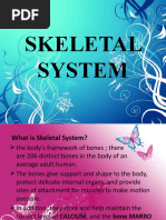 Skeletal System Fourth Grp.