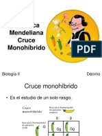 Cruce Monohíbrido