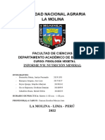 Informe N°8 Nutrición Mineral