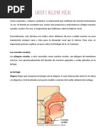 Salud e Higiene Vocal - Factores de Riesgo y Recomendaciones