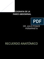 Pared Abdominal