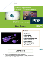 Conferencia 4 Protozoos Flagelados