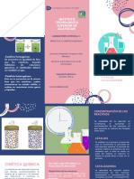 Folleto Cinética Química