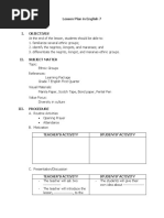 Lesson Plan - Ethnic Groups