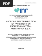 Abordaje Fisioterapeutico en El Ela