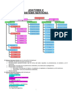 Sistema Nervioso. Anatomia 2