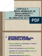 Cap 3 Criterios Generales de Escalamiento y Optimizacion