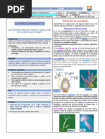 4° GRADO-Guia de Ciencia y Tecnología