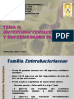 TEMA 6 Enterobacterias 1