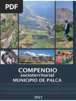 CompedioPalca 2021