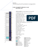 FIsa de Executie - Crevedia DB