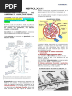 Manual Nefrologia 1