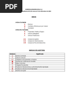 Cedulas de Auditoria de Activos