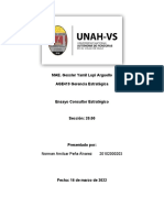 Ensayo Consultor Estratégico