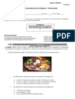 PDF Documento