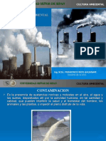 Contaminacion Ambiental